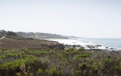 A Beautiful Time to Visit Cambria, California