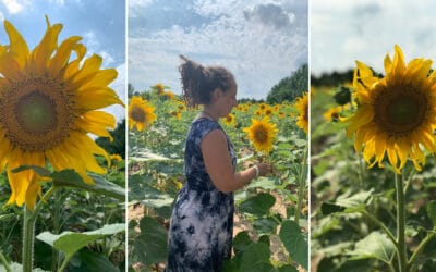 A sunflower seed pesto recipe in five easy steps