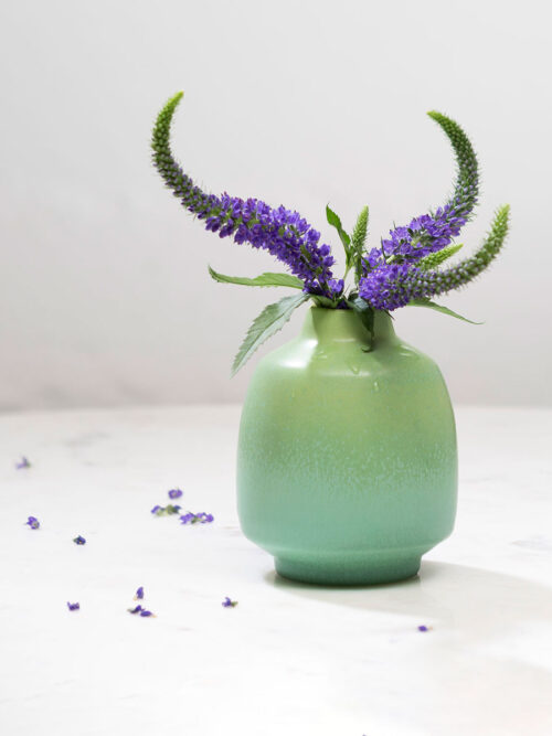 Mod Bottle - Mix & Match