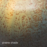Prairie Shade