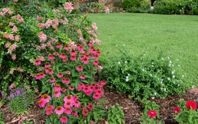 You are in Good Company: Ephraim Enthusiasts Share a Love for Arts & Crafts Design