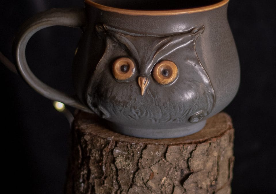 Night Owl Mug