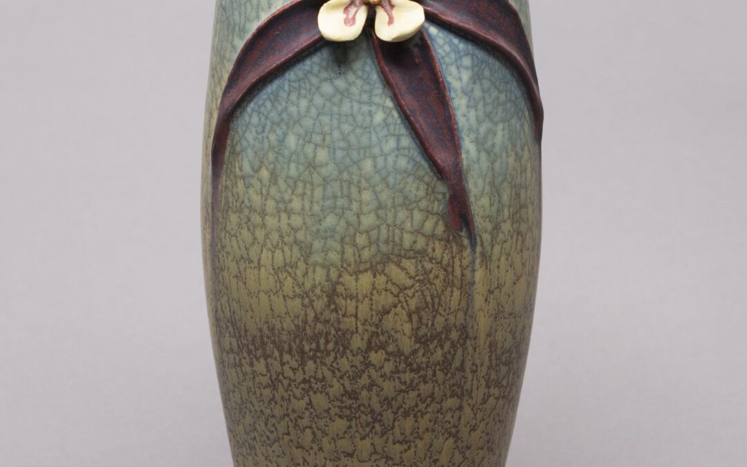 Rocky Mountain Columbine