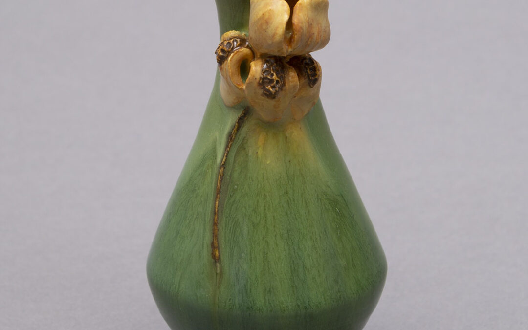 Miniature Fluted Iris