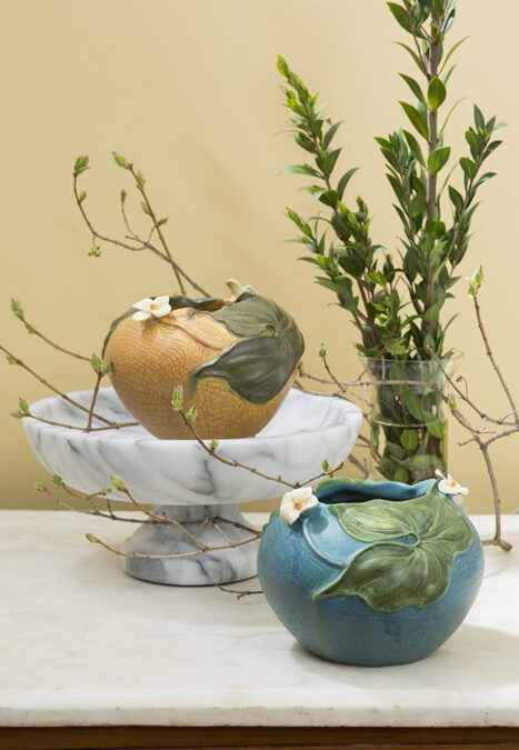 Flowering Arrowroot Bowl