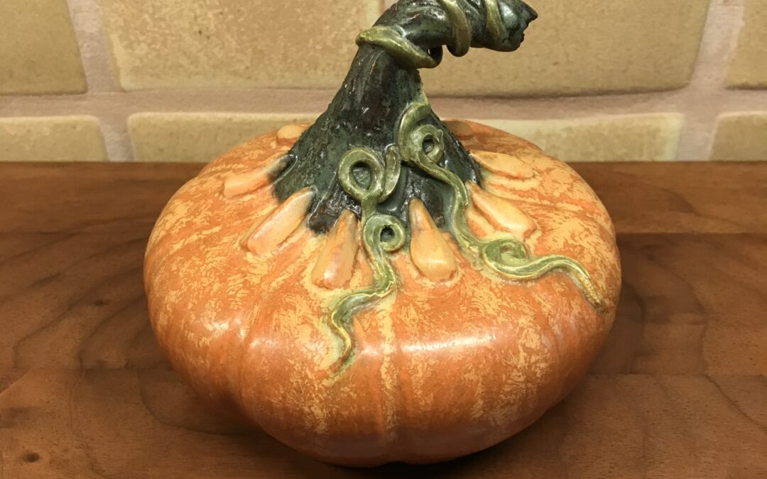Experimental Pumpkin with Vine