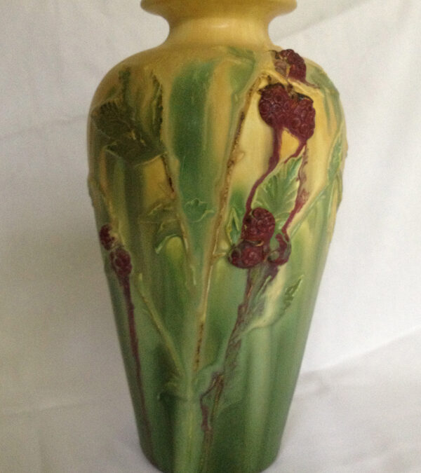 Experimental Raspberry Vase