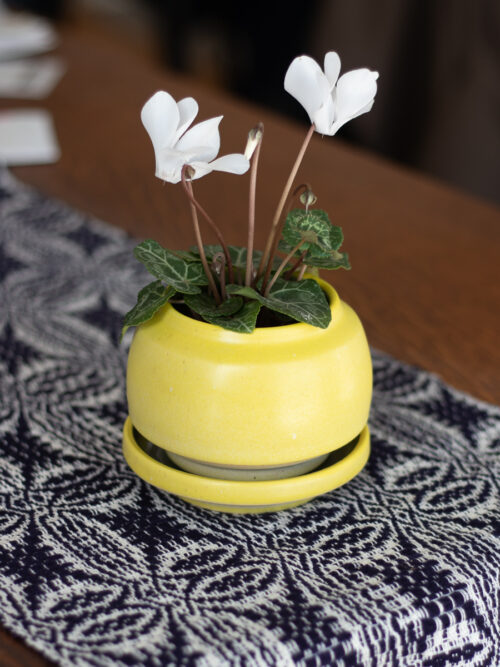 Small Mod Planter - Mix & Match